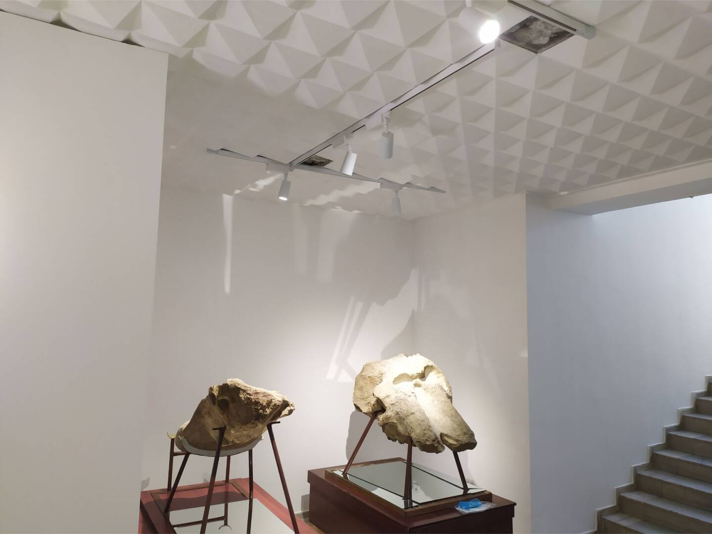 осветление Палеонтологичен музей Асеновград2