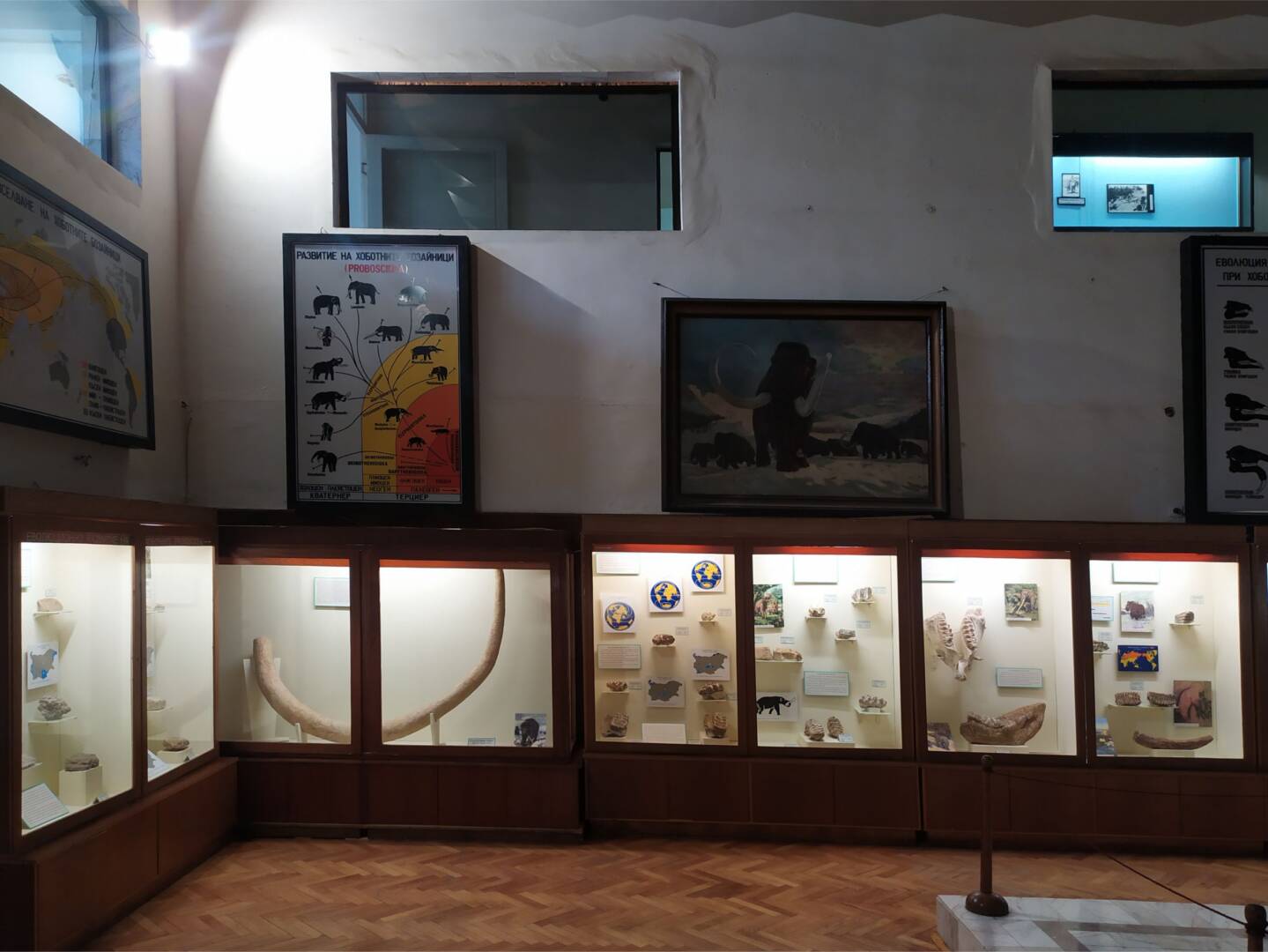 Палеонтологичен музей Асеновград1